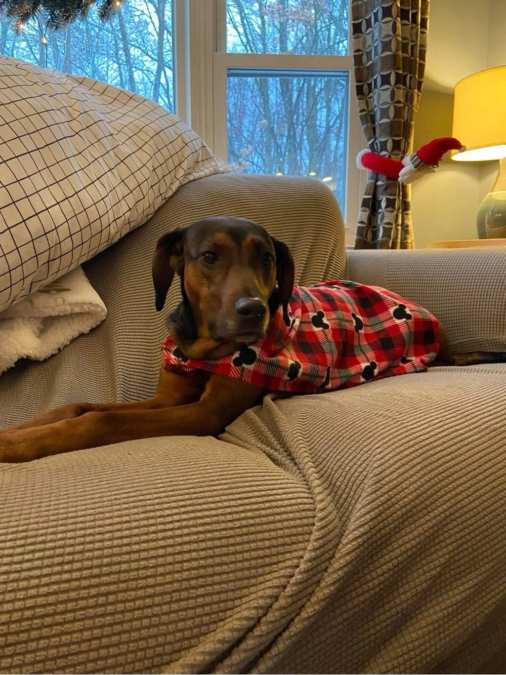 Disney Mickey Mouse Plaid Dog Pajama XL